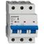 Miniature Circuit Breaker (MCB) AMPARO 10kA, B 40A, 3-pole thumbnail 8