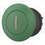 Mushroom actuator, RMQ-Titan, Mushroom, momentary, Mushroom green, green, inscribed, Bezel: black thumbnail 3