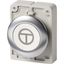 Pushbutton, RMQ-Titan, flat, momentary, White, inscribed, Front ring stainless steel, ON/OFF thumbnail 4