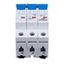 Miniature Circuit Breaker (MCB) D, 25A, 3-pole, 10kA, 40ø C thumbnail 10