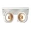 KALU 2 QPAR ceiling light, matt white. ES111, max. 2x75W thumbnail 4