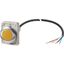 Indicator light, Flat, Cable (black) with non-terminated end, 4 pole, 3.5 m, Lens yellow, LED white, 24 V AC/DC thumbnail 4