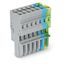 1-conductor female connector CAGE CLAMP® 4 mm² gray/blue/green-yellow thumbnail 1