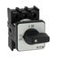 On-Off switch, P1, 25 A, flush mounting, 3 pole, with black thumb grip and front plate thumbnail 17