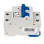 Miniature Circuit Breaker (MCB) AMPARO 10kA, D 10A, 2-pole thumbnail 5