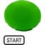 Button plate, flat green, START thumbnail 3