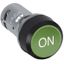 CP9-1034 Pushbutton thumbnail 1