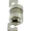 Utility fuse-link, low voltage, 32 A, AC 415 V, BS88/J, 38 x 101 mm, gL/gG, BS thumbnail 4