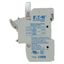 Fuse-holder, low voltage, 50 A, AC 690 V, 14 x 51 mm, 3P, IEC thumbnail 28