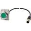 Illuminated pushbutton actuator, Flat, maintained, 1 N/O, Cable (black) with M12A plug, 4 pole, 1 m, LED green, green, Blank, 24 V AC/DC, Metal bezel thumbnail 3