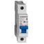 Miniature Circuit Breaker (MCB) AMPARO 10kA, D 16A, 1-pole thumbnail 1