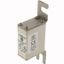 Fuse-link, high speed, 100 A, AC 690 V, DIN 000, 21 x 40 x 100 mm, aR, DIN, IEC thumbnail 3