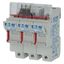 Fuse-holder, low voltage, 50 A, AC 690 V, 14 x 51 mm, 3P, IEC thumbnail 1