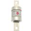 Fuse-link, low voltage, AC 660 V, DC 460 V, BS88, 53 x 160 mm, gM, BS thumbnail 2