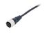 Sensor cable, Smartclick M12 straight socket (female), 4-poles, A code XS5F0152B thumbnail 1