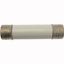 Oil fuse-link, medium voltage, 56 A, AC 12 kV, BS2692 F01, 254 x 63.5 mm, back-up, BS, IEC, ESI, with striker thumbnail 14