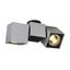 ALTRA DICE SPOT 2 ceiling lamp, GU10 2x50W, silvergrey/black thumbnail 5