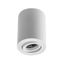 Lamp surface mounted SENSA, aluminium, 85x115, IP20, max 50W, round, white housing thumbnail 1