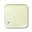 2548-046 A-212 CoverPlates (partly incl. Insert) Data communication White thumbnail 1