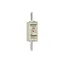 Fuse-link NH0 gG 500VAC 100A live tags Double indicator thumbnail 2