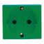 GERMAN STANDARD SOCKET-OUTLET 250V ac - FOR DEDICATED LINES - 2P+E 16A - 2 MODULES - GREEN - SYSTEM thumbnail 2