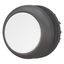 Pushbutton, RMQ-Titan, Flat, maintained, White, Blank, Bezel: black thumbnail 2