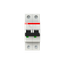 S202-B32 Miniature Circuit Breaker - 2P - B - 32 A thumbnail 1