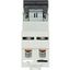 Fuse switch-disconnector, LPC, 25 A, service distribution board mounting, 1 pole, DII thumbnail 3