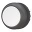 Pushbutton, RMQ-Titan, Flat, momentary, White, Blank, Bezel: black thumbnail 12