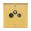 Art d'Arnould universe Memory socket TV-FM-SAT - brushed gold thumbnail 2