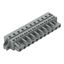 1-conductor female connector CAGE CLAMP® 2.5 mm² gray thumbnail 2