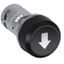 CP9-1021 Pushbutton thumbnail 1