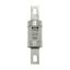 Fuse-link, low voltage, 100 A, AC 600 V, DC 250 V, HRCII-MISC, 21 x 127 mm, gL/gG, CSA thumbnail 2