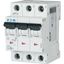 Miniature circuit breaker (MCB), 4 A, 3p, characteristic: B, 6 kA thumbnail 4