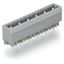 THT male header 1.2 x 1.2 mm solder pin straight gray thumbnail 4