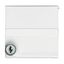 2118 GKSLN-34 CoverPlates (partly incl. Insert) Flush-mounted, water-protected, special connecting devices Alpine white thumbnail 2