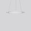 FLATLINER SLIM, 38 W, 2750 lm, 830, white, DALI Pendant luminaires, D  thumbnail 1