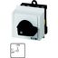 On-Off switch, T0, 20 A, service distribution board mounting, 2 contact unit(s), 3 pole, with black thumb grip and front plate thumbnail 5