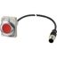 Pushbutton, Flat, momentary, 1 NC, Cable (black) with M12A plug, 4 pole, 1 m, red, Blank, Metal bezel thumbnail 3