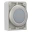 Indicator light, RMQ-Titan, Flat, white, Metal bezel thumbnail 6