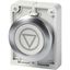 Pushbutton, RMQ-Titan, flat, momentary, gray, inscribed, Front ring stainless steel thumbnail 3