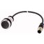 Pushbutton, Flat, momentary, 1 NC, Cable (black) with M12A plug, 4 pole, 0.5 m, black, Blank, Bezel: titanium thumbnail 1