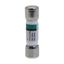 Eaton Bussmann Series BBS Fuse, Midget Fuse, Fast-acting, 7A, 250 Vac, 10 kAIC at 250 Vac, Supplemental class, Fiber tube, nickel-plated brass endcap material, Ferrule end X ferrule end connection, BBS series, 13/32 in diameter thumbnail 16