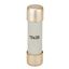 Cylindrical fuse link 10X38, 25A, gR, 690V thumbnail 1