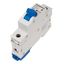 Miniature Circuit Breaker (MCB) AMPARO 10kA, D 50A, 1-pole thumbnail 4