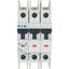 Miniature circuit breaker (MCB), 50 A, 3p, characteristic: B, NA thumbnail 6