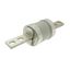 Fuse-link, low voltage, 300 A, AC 600 V, DC 250 V, HRCII-MISC, 59 x 136 mm, gL/gG, CSA thumbnail 7