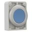 Pushbutton, RMQ-Titan, Flat, maintained, Blue, Blank, Metal bezel thumbnail 14