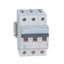 MCB TX³ 6000 - 3P - 400 V~ - 32 A - C curve - prong/fork type supply busbars thumbnail 2