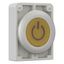 Illuminated pushbutton actuator, RMQ-Titan, Flat, momentary, yellow, inscribed, Metal bezel thumbnail 11